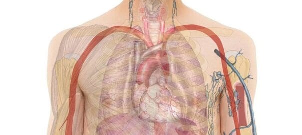 The Role of IV Drips in Aesthetic Wellness