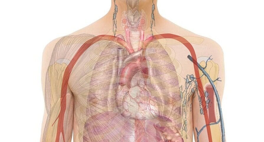 The Role of IV Drips in Aesthetic Wellness