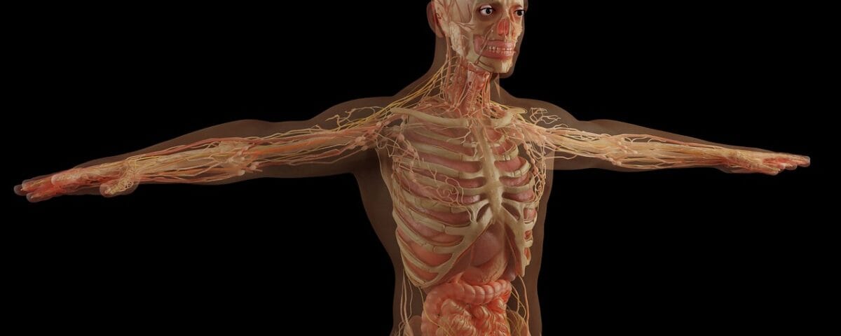 The Importance of a 360-Degree Wellness Approach
