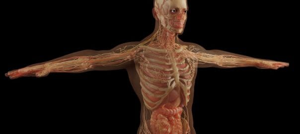 The Importance of a 360-Degree Wellness Approach