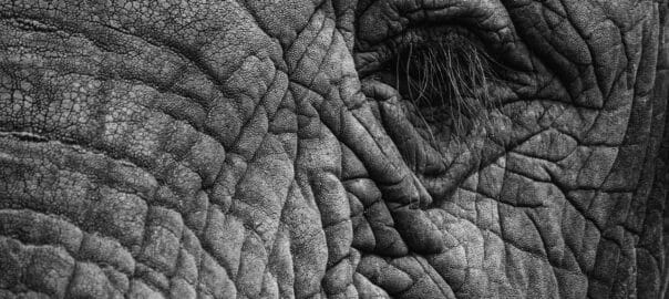 The Rise of "Slow Beauty" in a Fast-Paced World