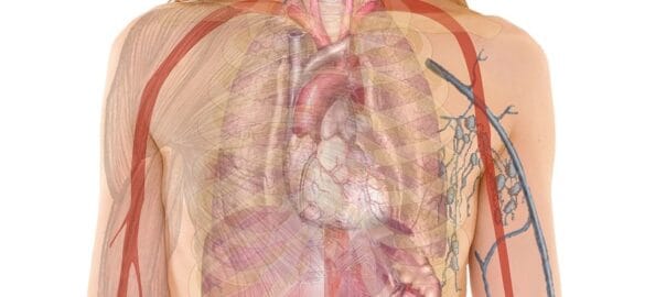 The Role of IV Drips in Aesthetic Wellness