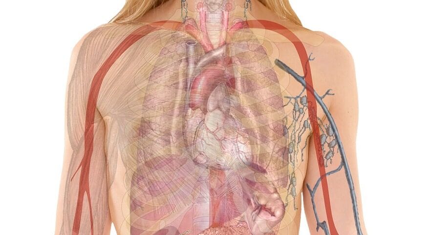 The Role of IV Drips in Aesthetic Wellness
